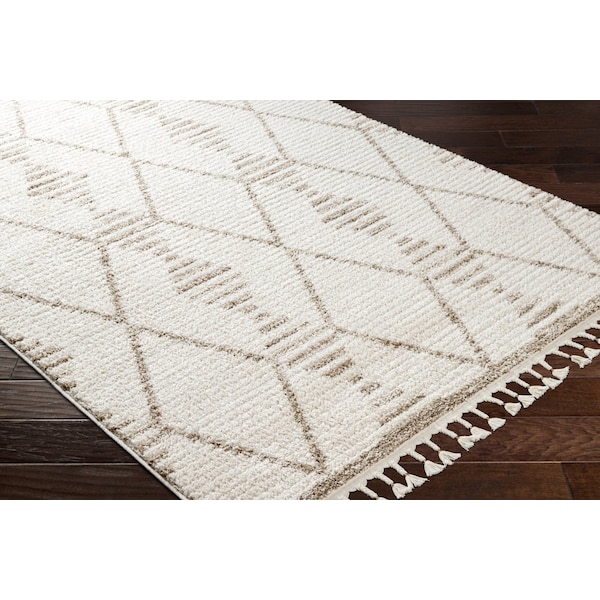 Valencia VLC-2319 Area Rug , With Fringe